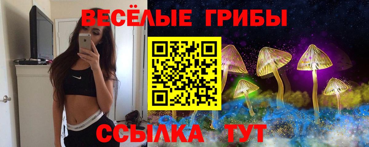 Галлюциногенные грибы мухоморы  Псилоцибиновые грибы GOLDEN TEACHER  Вход с VPN  Моздок 